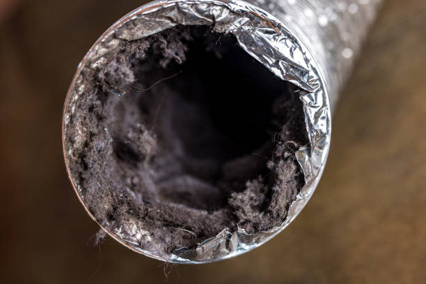Best Air Duct Sanitizing Services  in Jamestown, NC